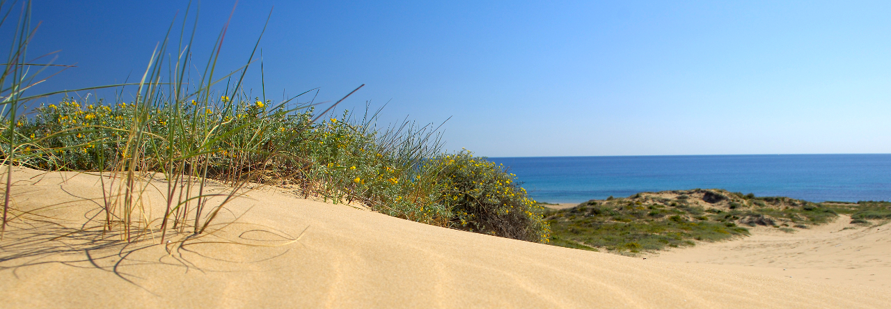 Playas y Calas