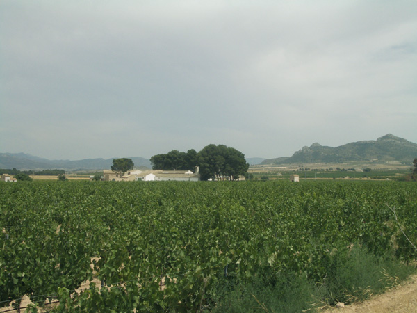 encabezado-ruta18.jpg
