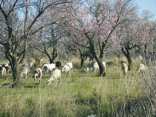 encabezado-ruta2.jpg