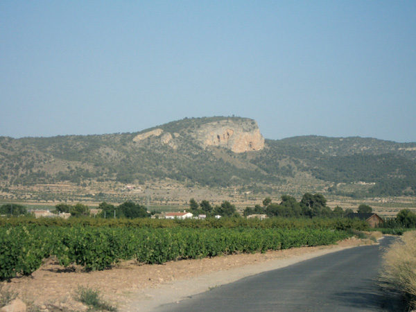 encabezado-ruta20.jpg