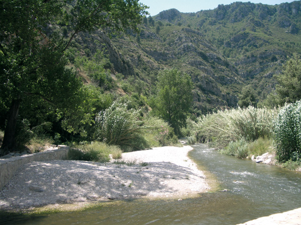 encabezado-ruta23.jpg