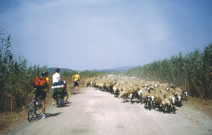encabezado-ruta24.jpg