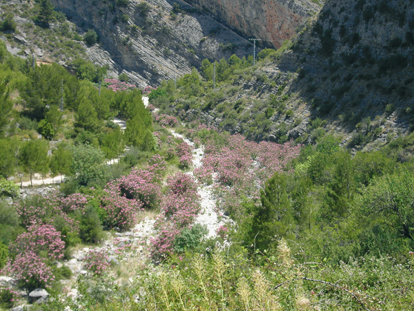 encabezado-ruta7.jpg