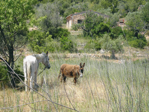 encabezado-ruta9.jpg