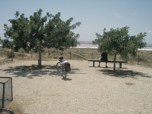 ruta16-encabezado.jpg
