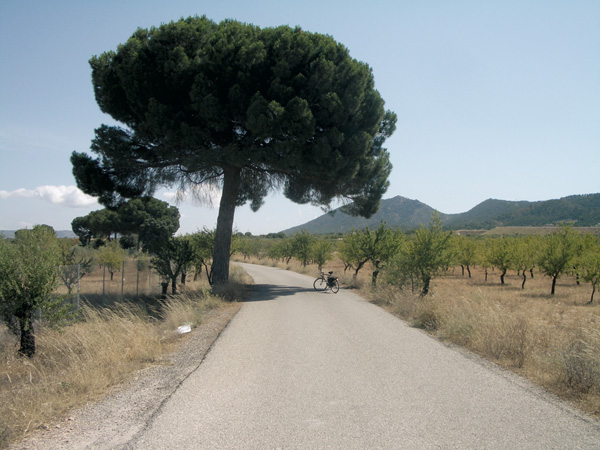 ruta17-encabezado.jpg
