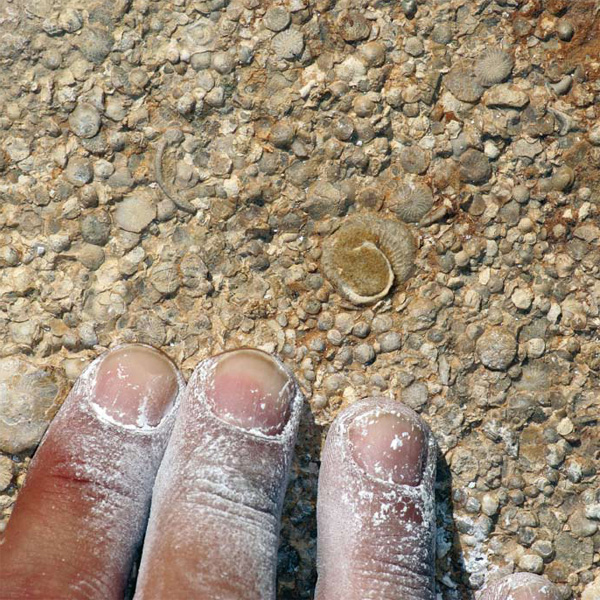 Encabezado Marco geológico