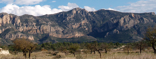 Encabezado Cabeçó D’Or