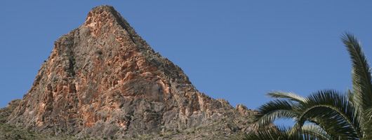 Encabezado Callosa de Segura