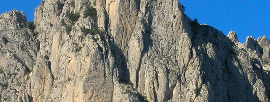 Encabezado Penya Roc