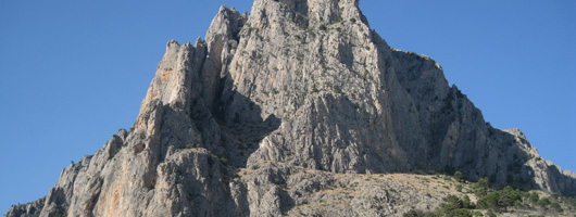 Encabezado Puig Campana 