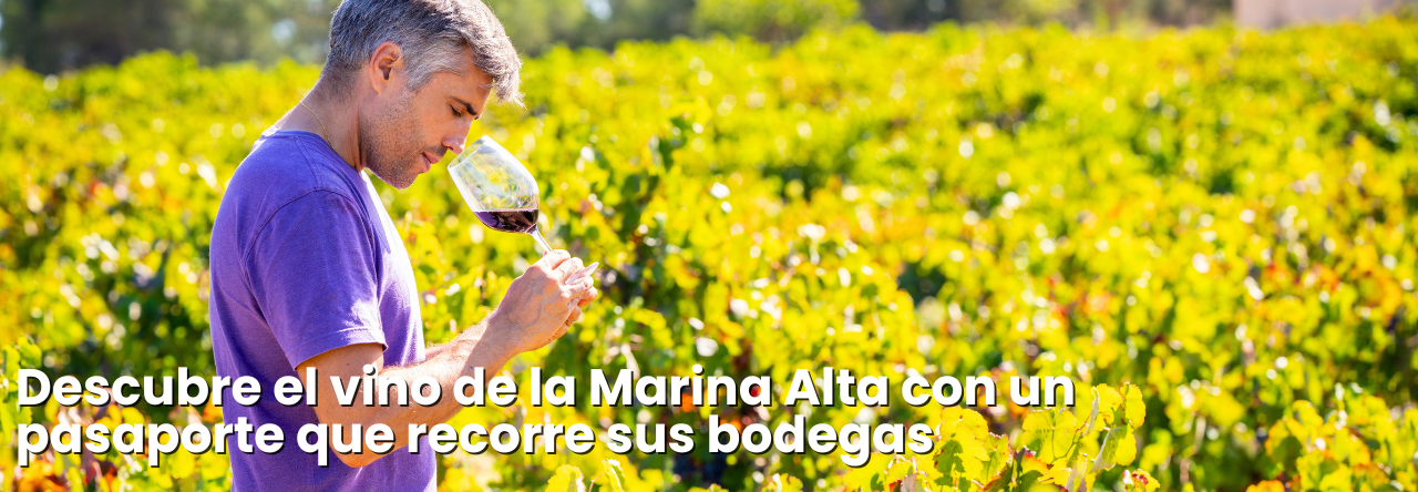 banner-blog-pasaporte-marina-alta