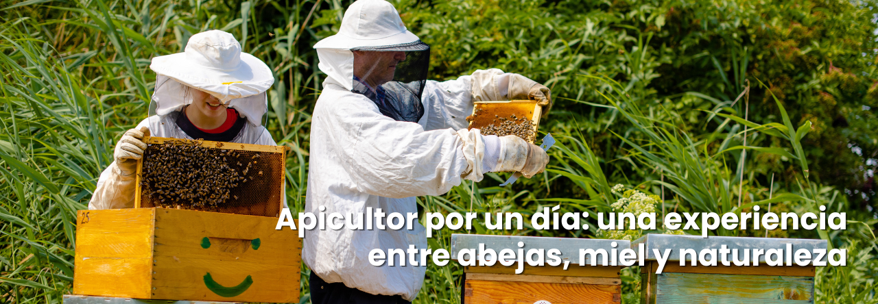 blog-banner-apicultor-por-un-dia