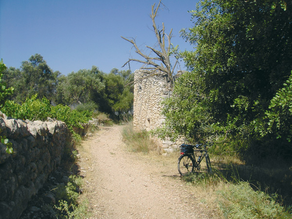 Camino de Jalón