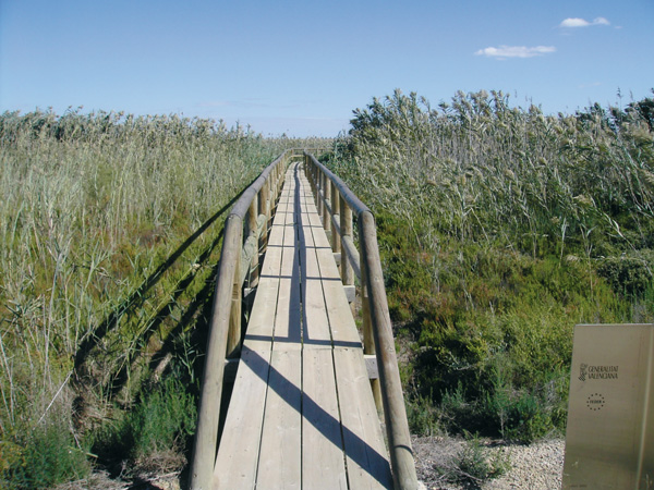 Pasarela en el Parque Natural de El Hondo