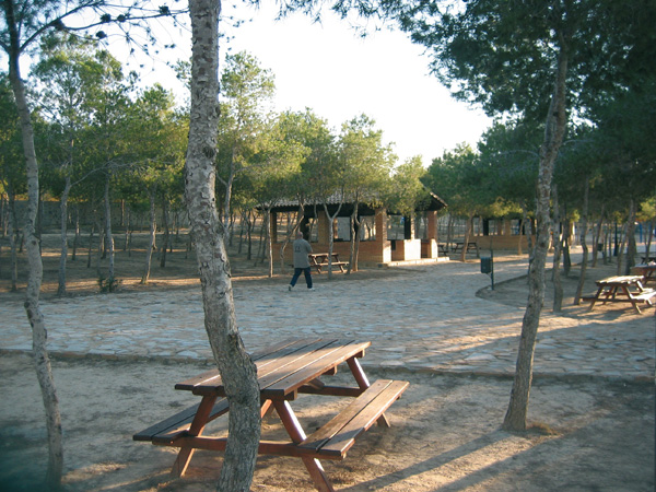 Zona recreativa y de acampada "La Pilarica". Benejúzar.
