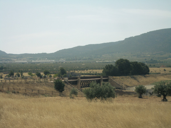 Puente y área de descanso