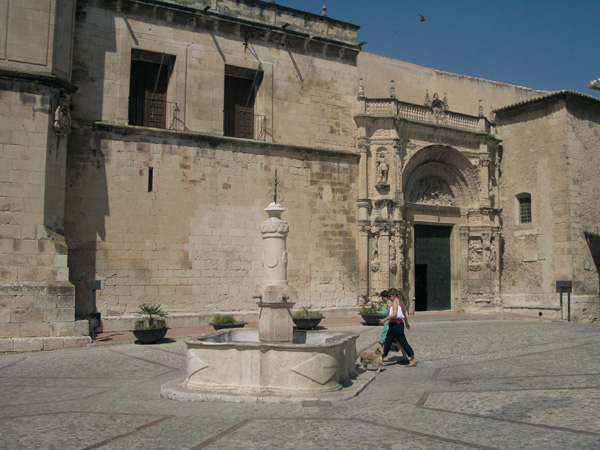 Plaza de la Constitución. Bar
