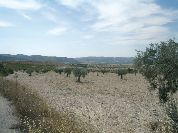 Alto del Mesonero