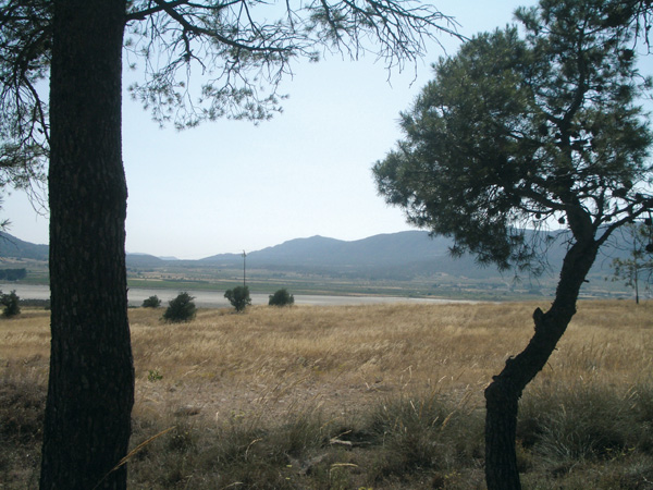 Laguna de Salinas