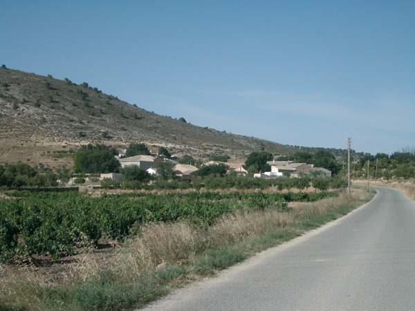 Encebras