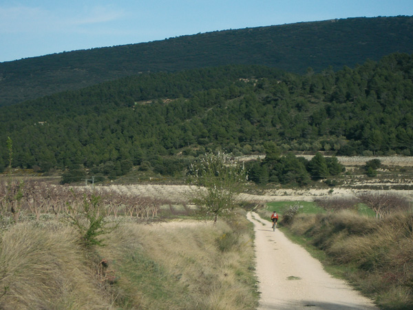 Camino de la Sírnia.