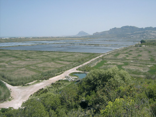 Vista del Marjal de Pego-Oliva.
