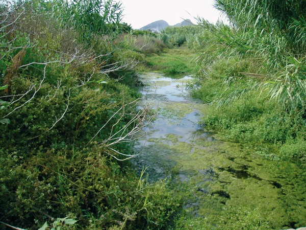 Río Alberca