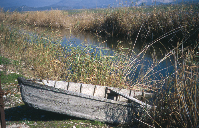 Barca tradicional en el marjal.