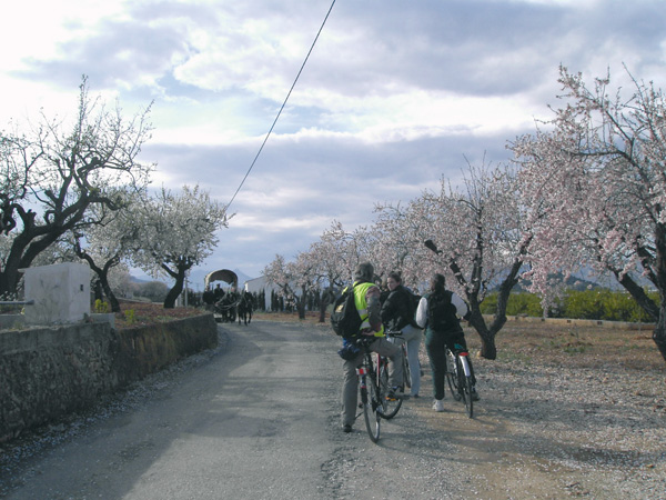 Encuentro de transportes ecológicos en las inmediaciones de Pedreguer