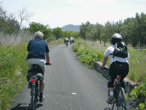 Camino de Jávea