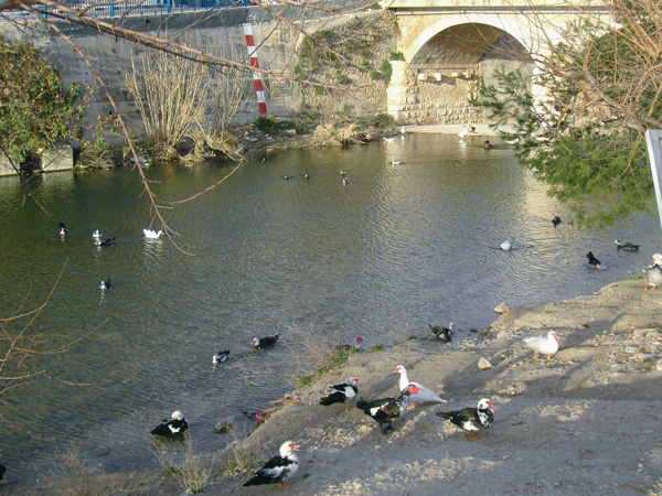 Torre de Cremadilla. El Verger.