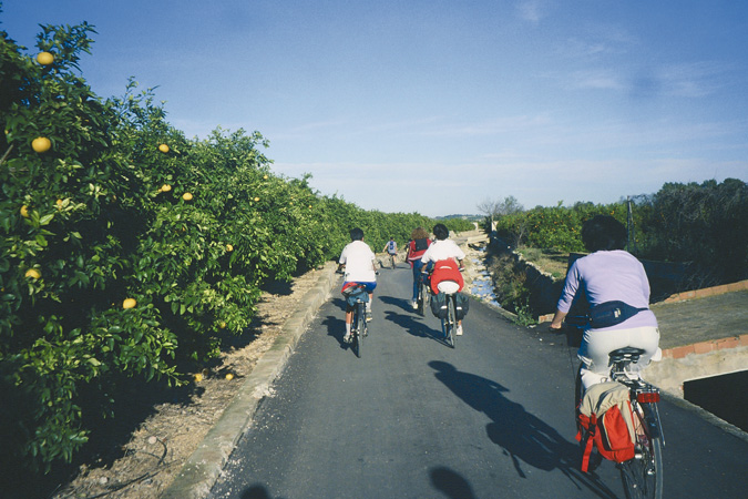 Pedaleando entre naranjos