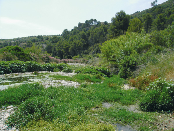 Cauce del río Jalón-Gorgos.