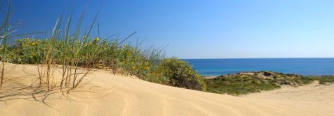 Platges i cales