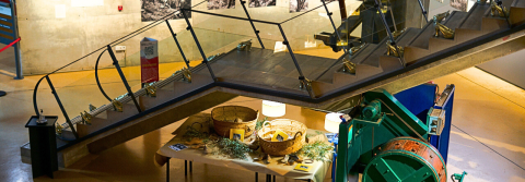 La vida cotidiana - Museo del Calzado