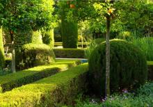 jardin_pedreguer