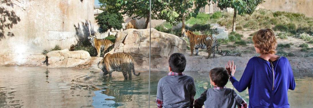 Costa Blanca en familia