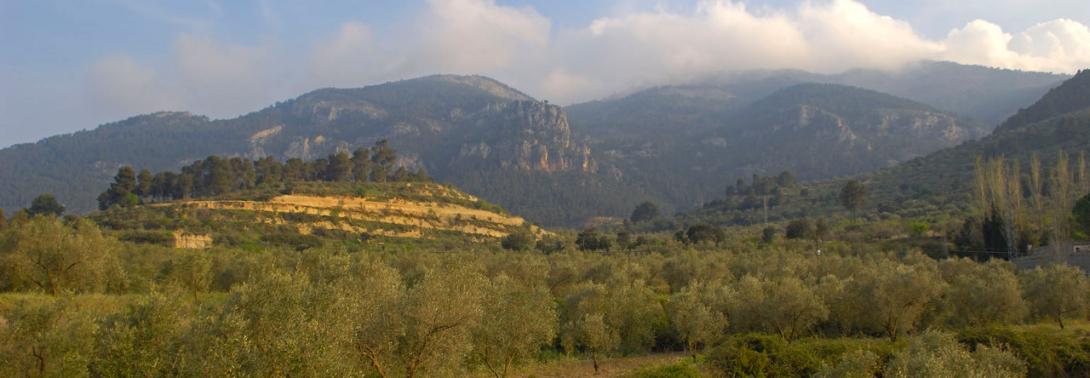 Parque Natural Sierra Mariola